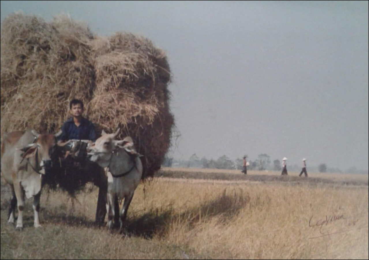 Nhịp sống miền quê