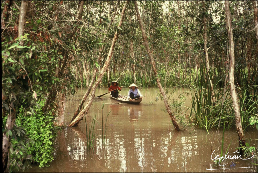 Thuyền trôi trong rừng tràm - Lê Quang Xuân